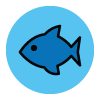 Fish allergen icon/